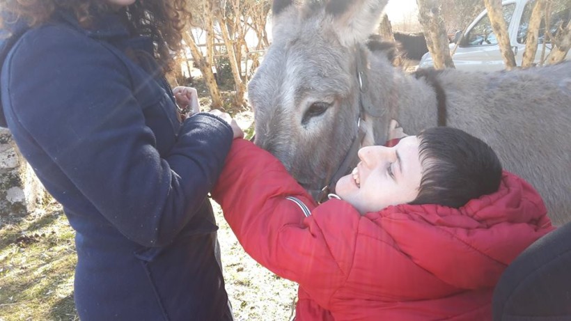 Attività con l’asino